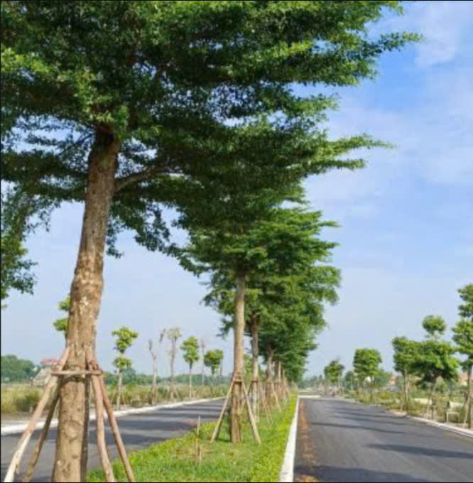 Tỉnh Hà Nam sắp đấu giá 505 lô đất, khởi điểm từ 2,2 triệu đồng/m2